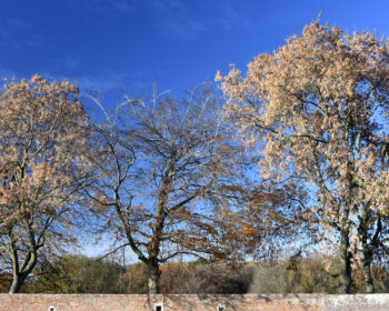 November sunshine on the Waterloo Battlefield on a Campaigns & Culture Weather-Watch Bespoke Tour