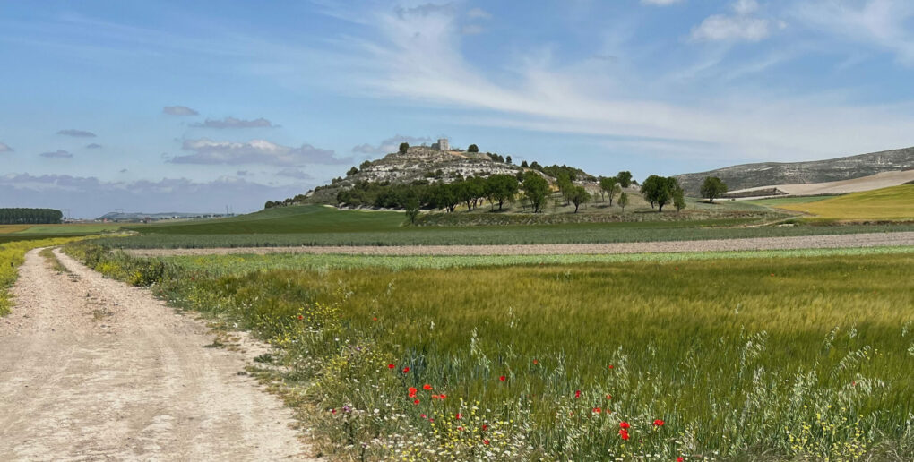 Battlefield of Venta del Pozo 1812 visited on Campaigns & Culture's Peninsular War Spain guided tour